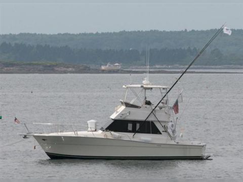 Viking 35