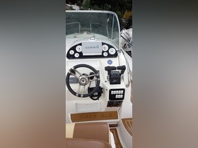 2008 Capelli Boats 900 Tempest for sale