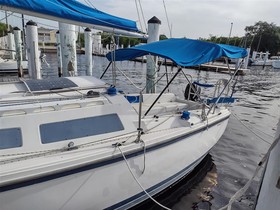 Buy 1989 Catalina Yachts 250