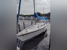1989 Catalina Yachts 250 for sale