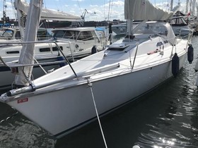 Buy 1998 Matcher 37 Cruiser