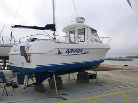 2002 Arvor 20 à vendre