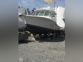 Buy 2000 Luhrs 32 Open