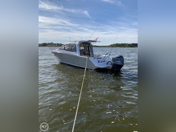 Cutwater Boats C-242 Coupe