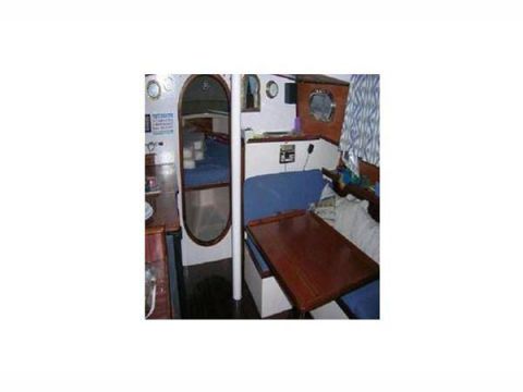Myabca Delfin 28