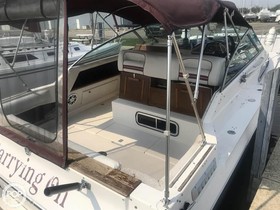 1983 Sea Ray Boats 280 Sundancer in vendita