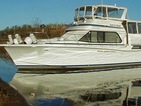 Bertram 25