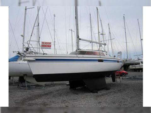 1992 Wrighton Biloup 88 на продажу