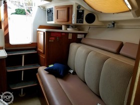 2002 Luhrs 290 Open satın almak