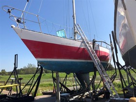 Peterson Contention 33