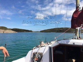 Buy 1975 Tomahawk 25