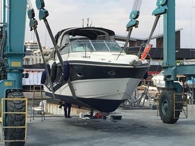 2009 Viper 303 zu verkaufen