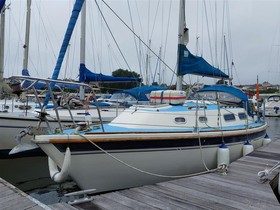 Westerly Griffon