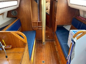 Buy 1973 Hustler 35