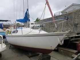 Jaguar 23