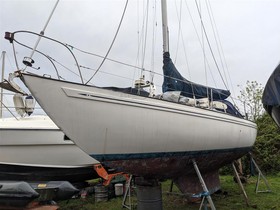 Osta 1976 Rival 34