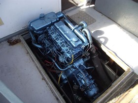 Buy 1975 Starfish 8M