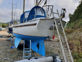 Acheter 1966 Seadog 30