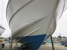 Buy 1981 Princess 30Ds