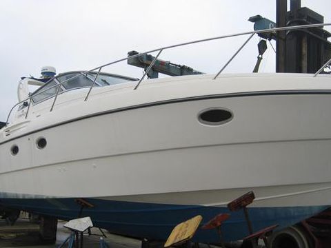 Coral Legacy 31