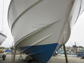 Buy 1981 Princess 30Ds