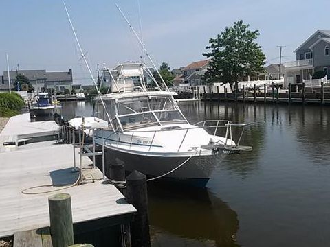 1984 Blackfin 29 Combi for sale