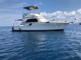 Bertram Yachts 37 Convertible