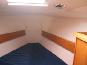 Buy 2005 Delphia 40.3