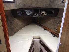 Koupit 1975 Tomahawk 25