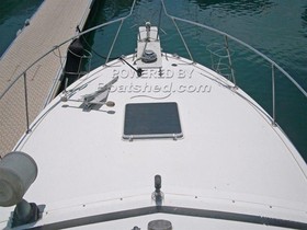 1984 Bertram Yachts 33