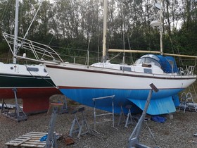 1966 Seadog 30