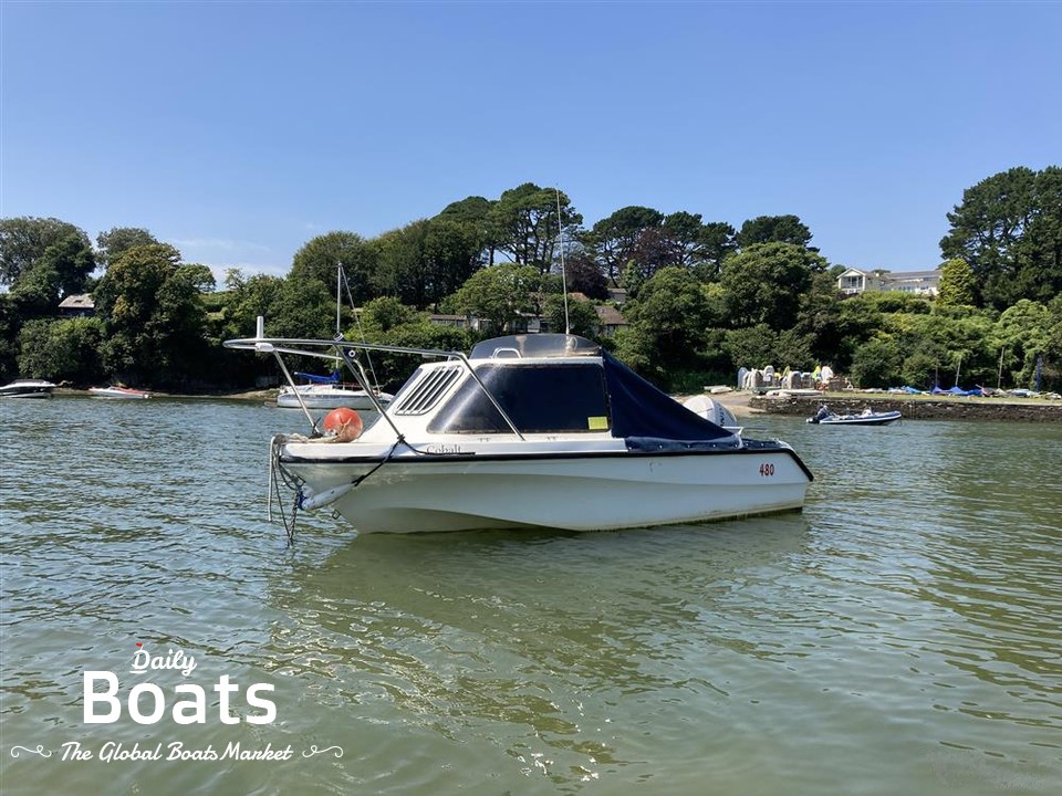 2006 Pirate Boats 480 for sale. View price, photos and Buy 2006 Pirate