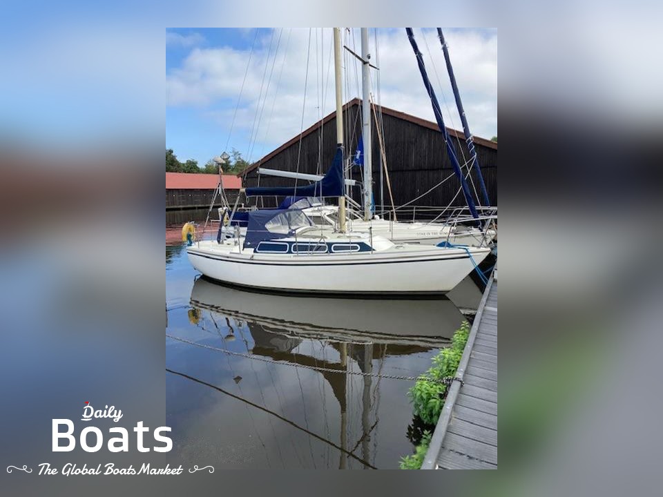 jordan 4 tattoo release date