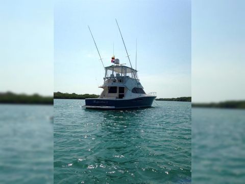 2008 Riviera Open Flybridge