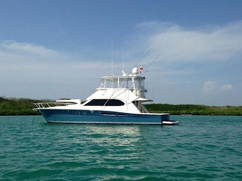 Acquistare 2008 Riviera Open Flybridge