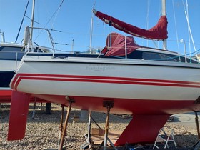 Buy 1979 Pegasus 800