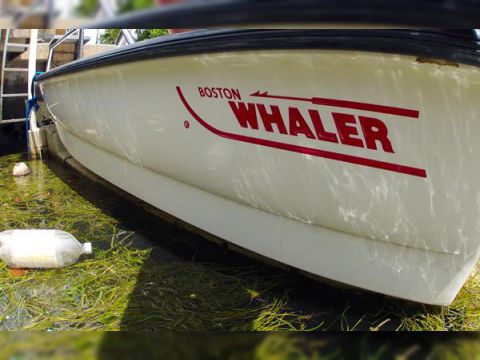 Boston Whaler 130Sport