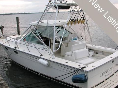 Tiara 31
