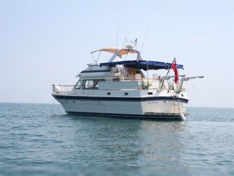 Kupiti 1991 Trader 47