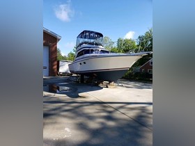 Acheter 1986 Bertram Yachts Trojan