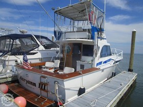 Buy 1969 Striker 36