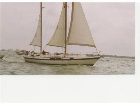 Morgan Out Island 41