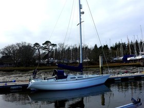 1980 She 36