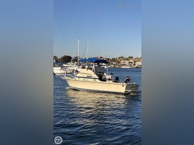 1979 Skipjack 24 satın almak