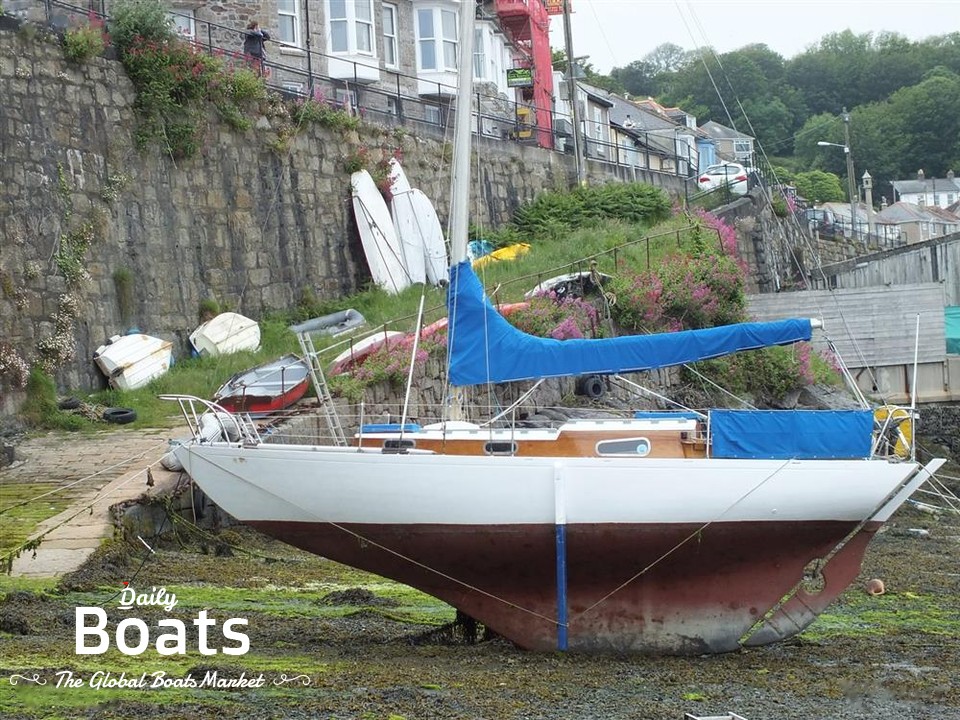 Holman 26