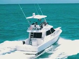 Buy 2001 Mediterranean