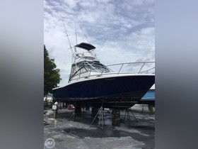 Buy 2000 Pro-Line 33 Express