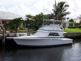 Buy 1989 Bertram Yachts 43
