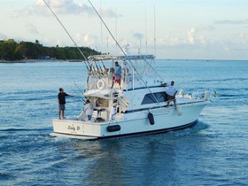Bertram Yachts 43