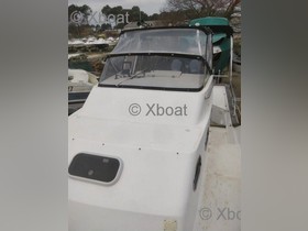 Buy 2005 Orka 800